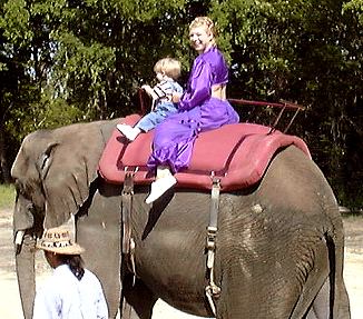 Elephant 1
